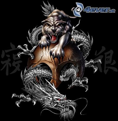 tiger a drak.jpg