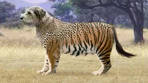 2002438092_55b15eca23.jpg