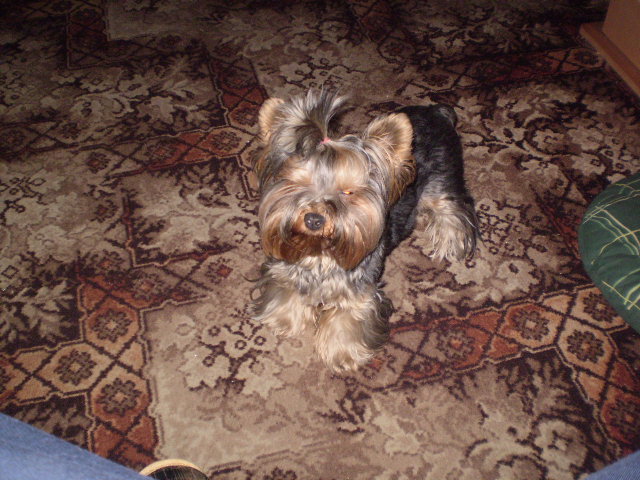 PA270207.JPG